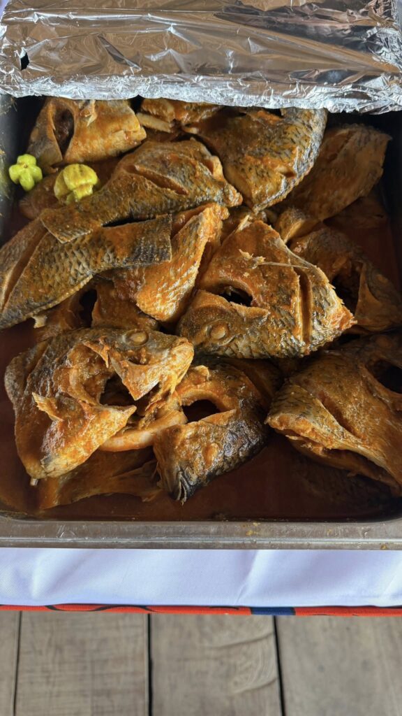 628202129 4394029144164494 8431004127371028209 n